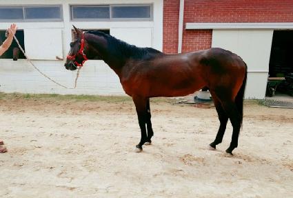 ����Ʈ���� ����