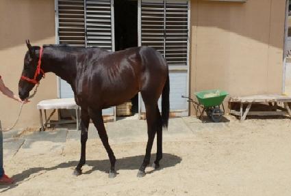 �����̽� ����