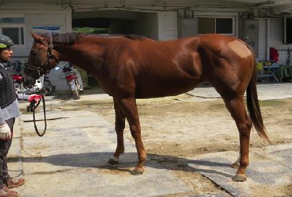 ��븢 ����