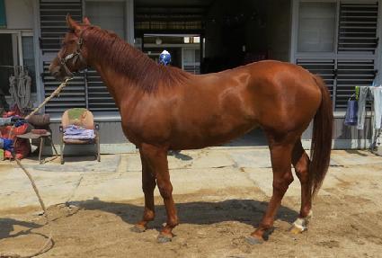 ���̺��� ����