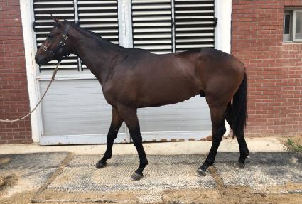 ŷ�������� ����