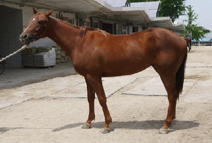 ����Ʈ��ȭ ����