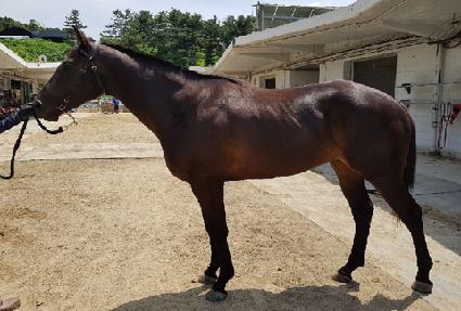 ����Ʈ���� ����