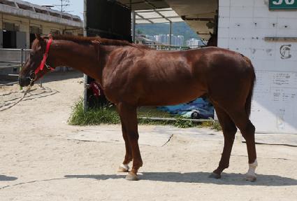 ������� ����