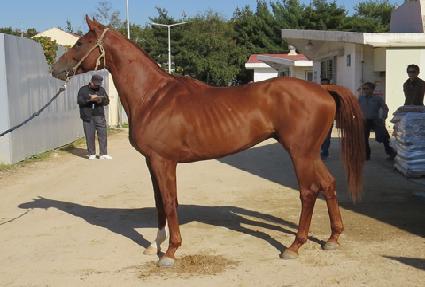 ����Ǯ���� ����