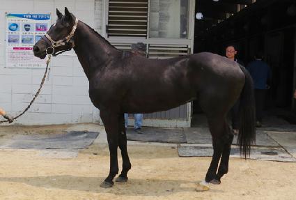 ����Ư�� ����