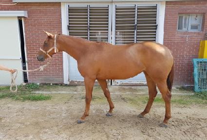 ����ȣ�� ����