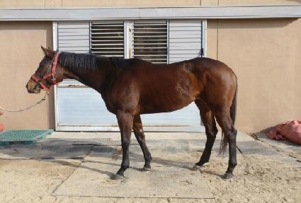 �����ǰ��� ����