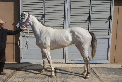 ����Ǯ��Ƽ ����