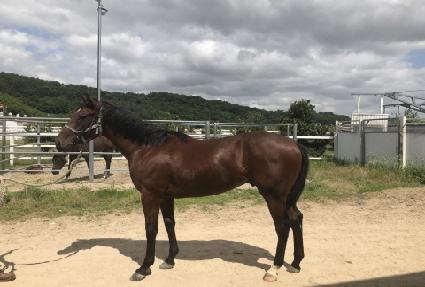 ��δ�ȣ ����