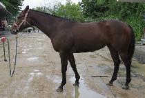 PERFECT FLYING picture