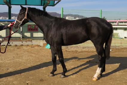 ��ũ�����̴� ����