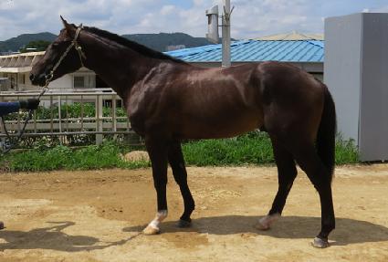 ���̿���ŷ ����