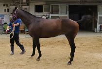 ����ĭ (JACKS KHAN) ����