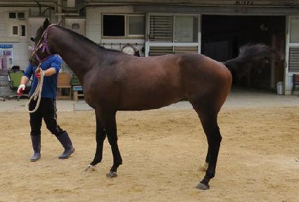 ����ĭ ����