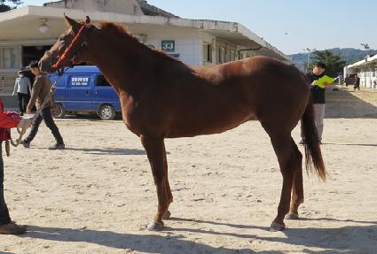 �����Լ� ����