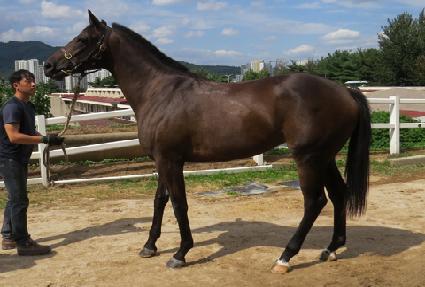 ȣ���� ����