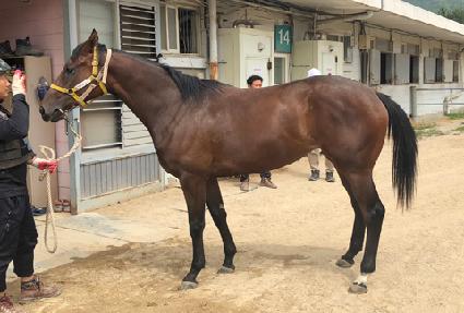 ���۷θ� ����