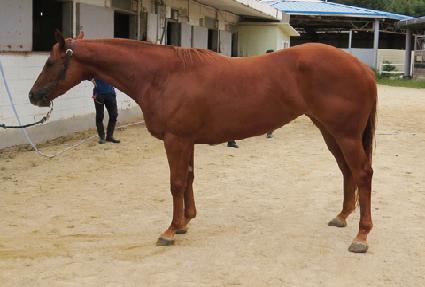 �޴Ͻ��ĵ� ����