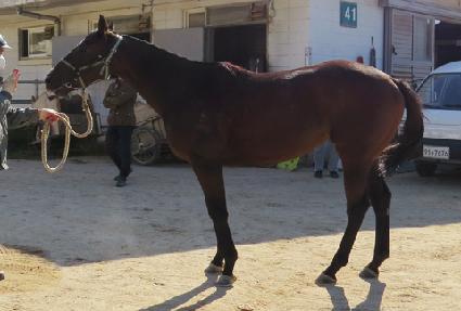 �ƿ����̸� ����