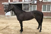 ��Ʈ���� (ULTRA BOY) ����