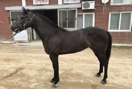 ��Ʈ���� ����