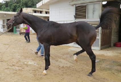 �ӴϺ��� ����