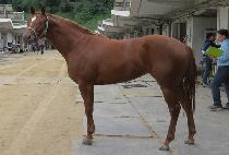 ����ž��Ƽ (K TAP PARTY) ����