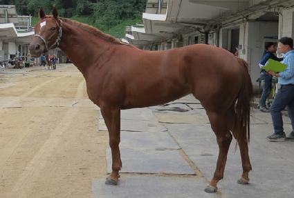 ����ž��Ƽ ����