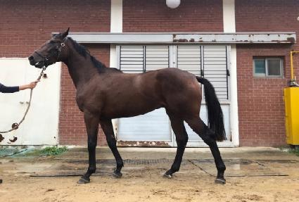 ����Ǳ��� ����