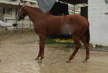 ���극�̽� ����