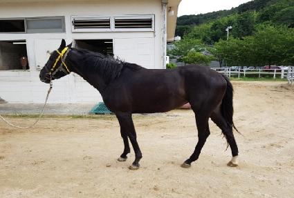 ������ ����