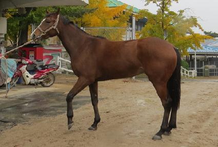 ������� ����