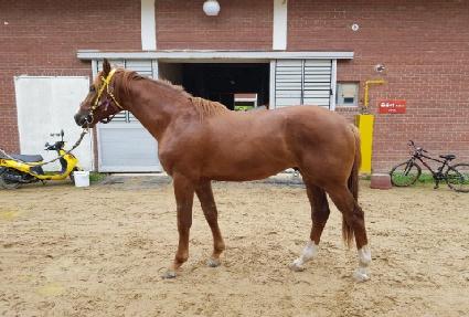 ŷ���� ����