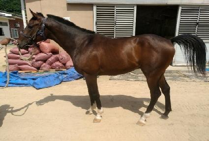 ���ǰ���Ʈ ����