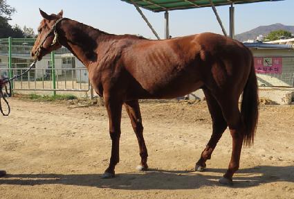 �׷���Ʈ���� ����