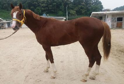 ȭ��Ʈ�ڸ� ����