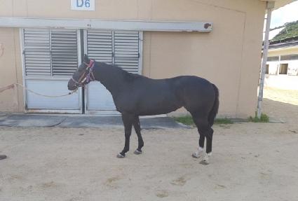 Ŀ�ȷο� ����