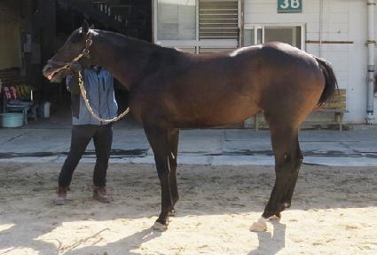 �ο�����Ƽ ����