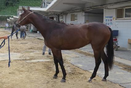 �������� ����