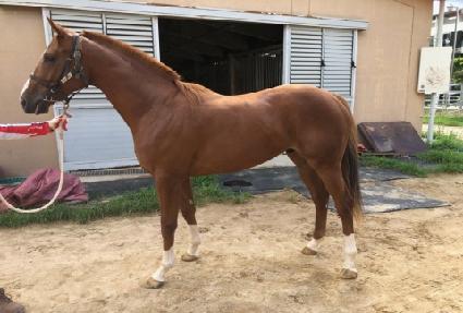 ����Ǯ��Ʈ ����