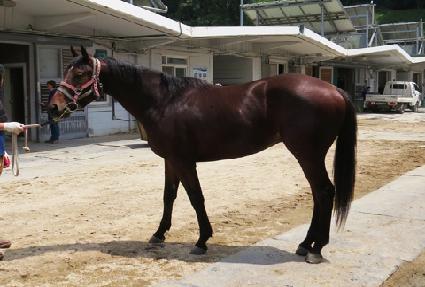 õ���ǰ��� ����