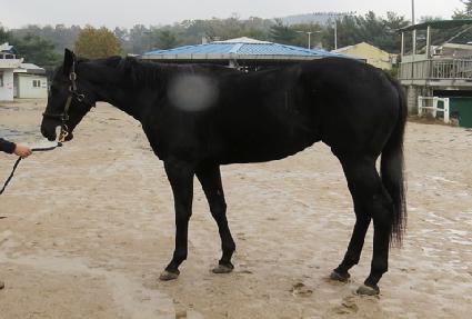 �ö����丣 ����