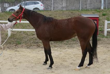 ���� ����