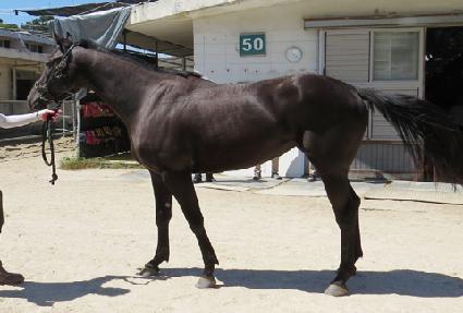 ���Ϸ� ����