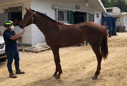 �¸����� ����