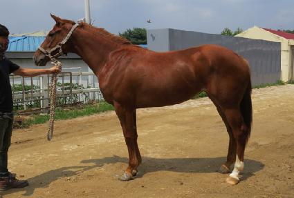 �������� ����