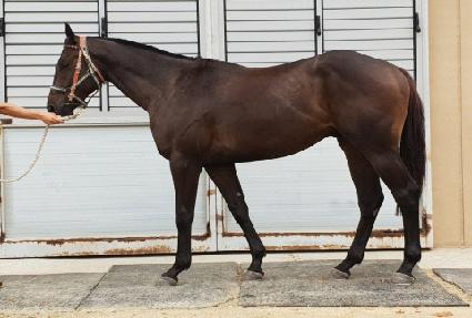 �����Ŵ�� ����