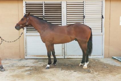 ������Ҳ� ����