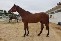 ����Ǯ��� (WONDERFUL MORNING) ����